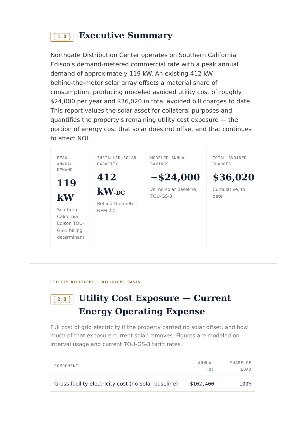 BillScope Basis report detail